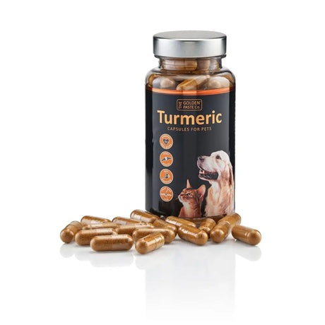 A clear bottle with a silver cap holding brown company turmeric capsules for pets from the golden paste company