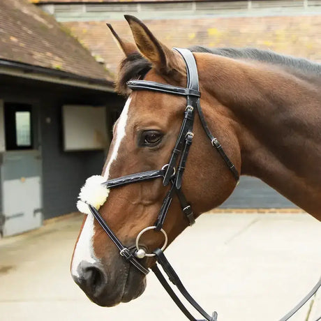 Black leather grackle bridle black with silver hardware and protective sheepskin noseband made from highest quality argentinian leather