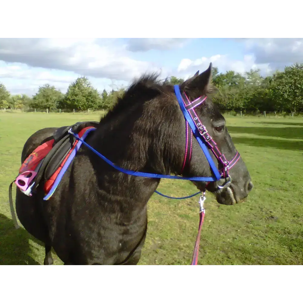 Grass Reins Black Small 