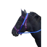 Black horse wearing blue and pink grass reins bridle designed for equestrian use with saddle dees attachments