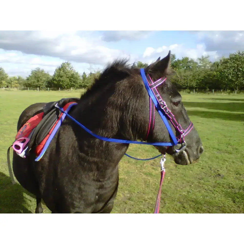 A black horse wearing a blue and pink grass reins with red accents designed for equestrian saddle dees use