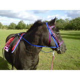 A black horse wearing a blue and pink grass reins with red accents designed for equestrian saddle dees use