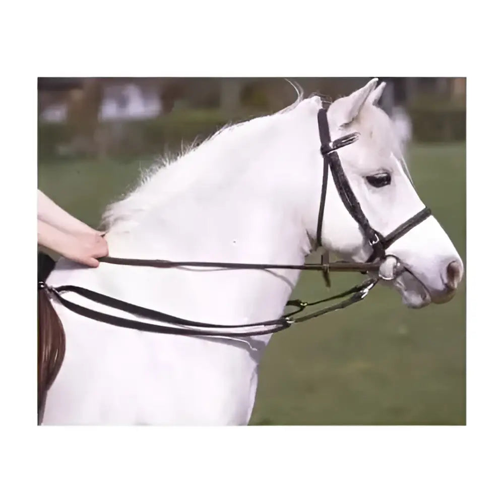 Black leather horse bridle with metal hardware shown from back side matching brown grass reins accessory