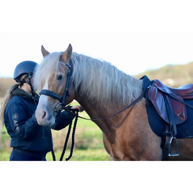 A light brown horse with blonde mane wearing black grass reins and saddle dees for equestrian riding gear