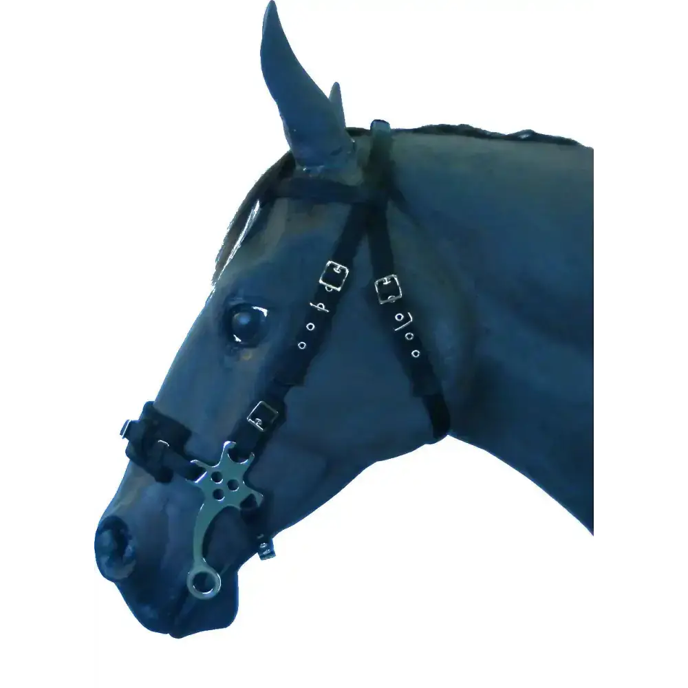 Hackamore Bitless Bridle Blue Small 