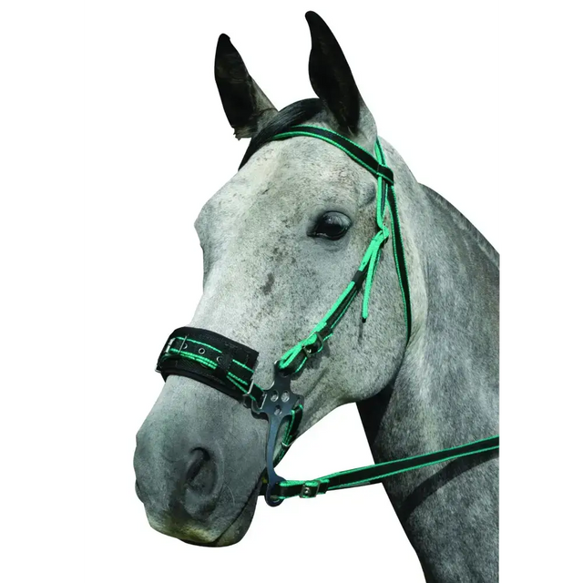 Hackamore Bitless Bridle Blue Small 