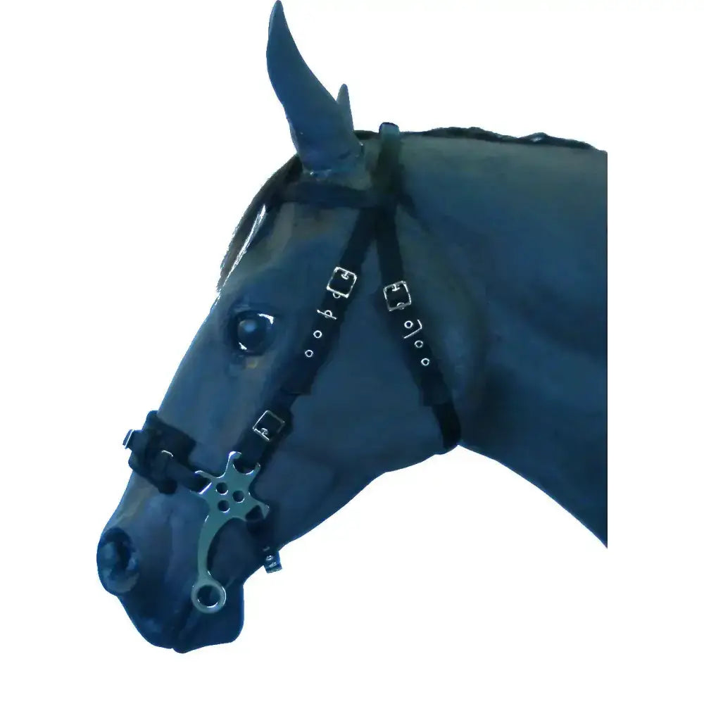 Black leather hackamore bitless bridle with nickel plated steel cheek pieces and silver metal buckle and bit