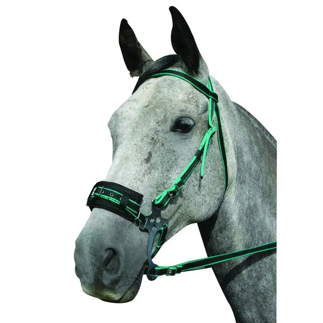 Green and black hackamore bitless bridle with adjustable cheek pieces and nickel plated steel hardware
