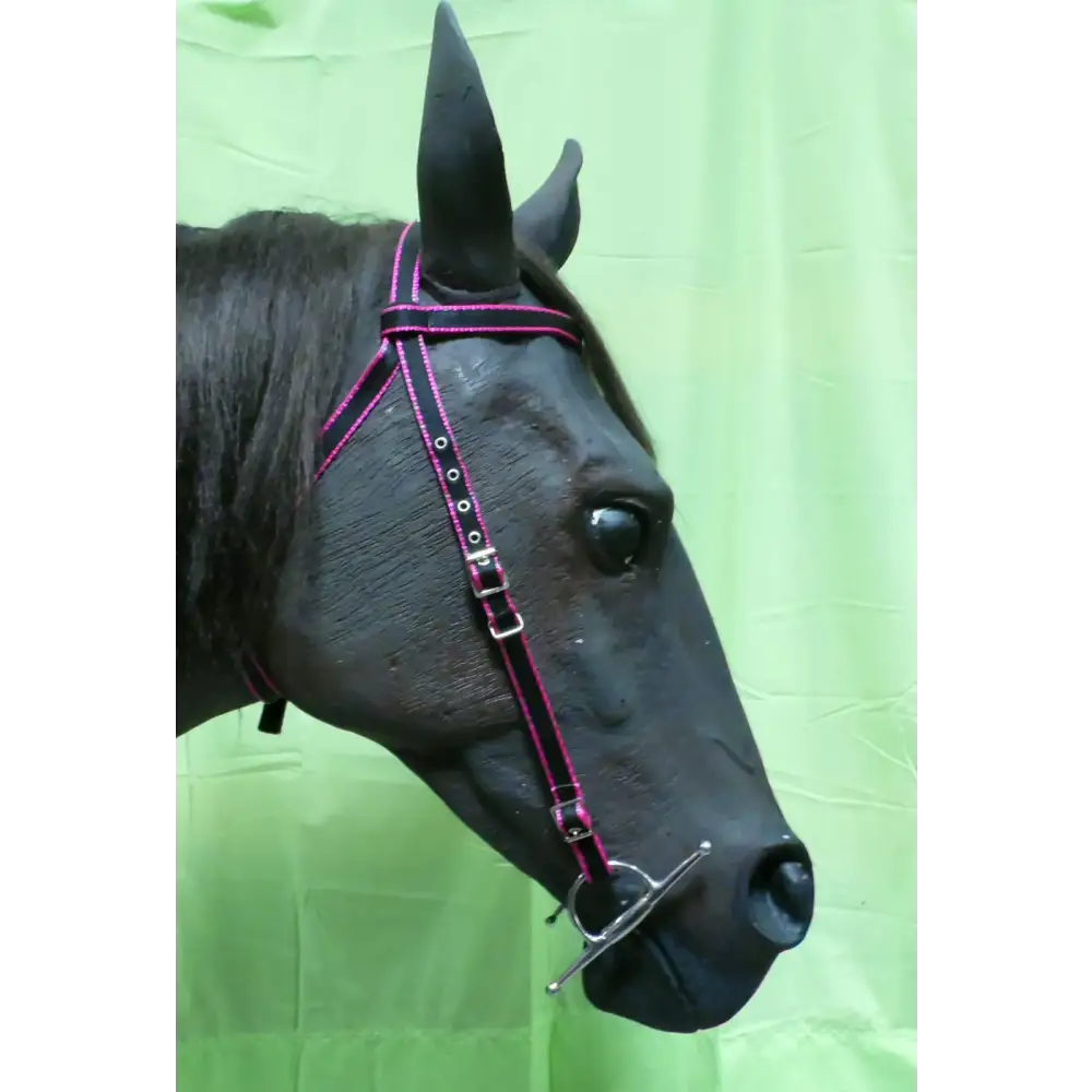 Half Bridle - Standard Bridle, No Noseband