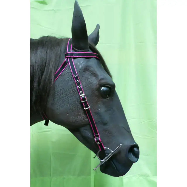 Black horse wearing a pink and black half bridle with throat lash cheek pieces and silver hardware no noseband