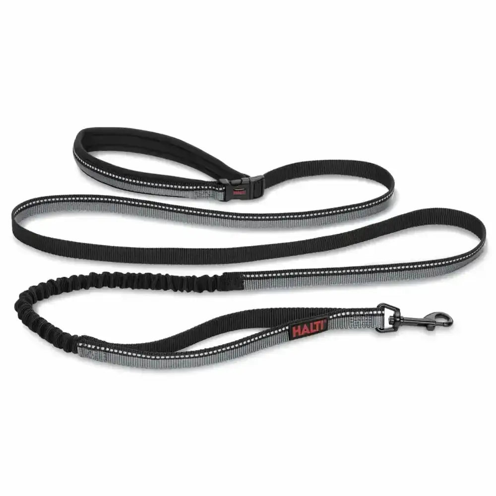 Black and gray reflective halti active lead black with elastic section and metal clasp tie-out tether leash