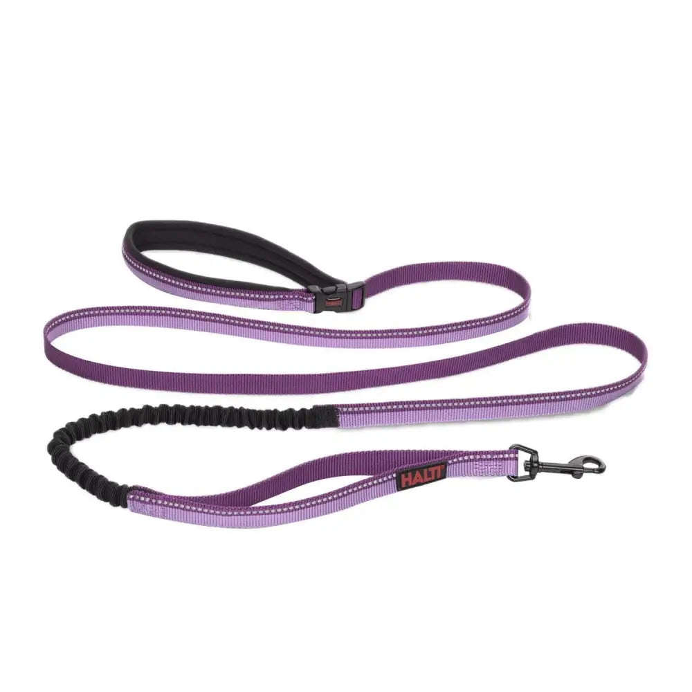 Halti Active Lead Purple Small Purple Dog Lead Barnstaple Equestrian Supplies