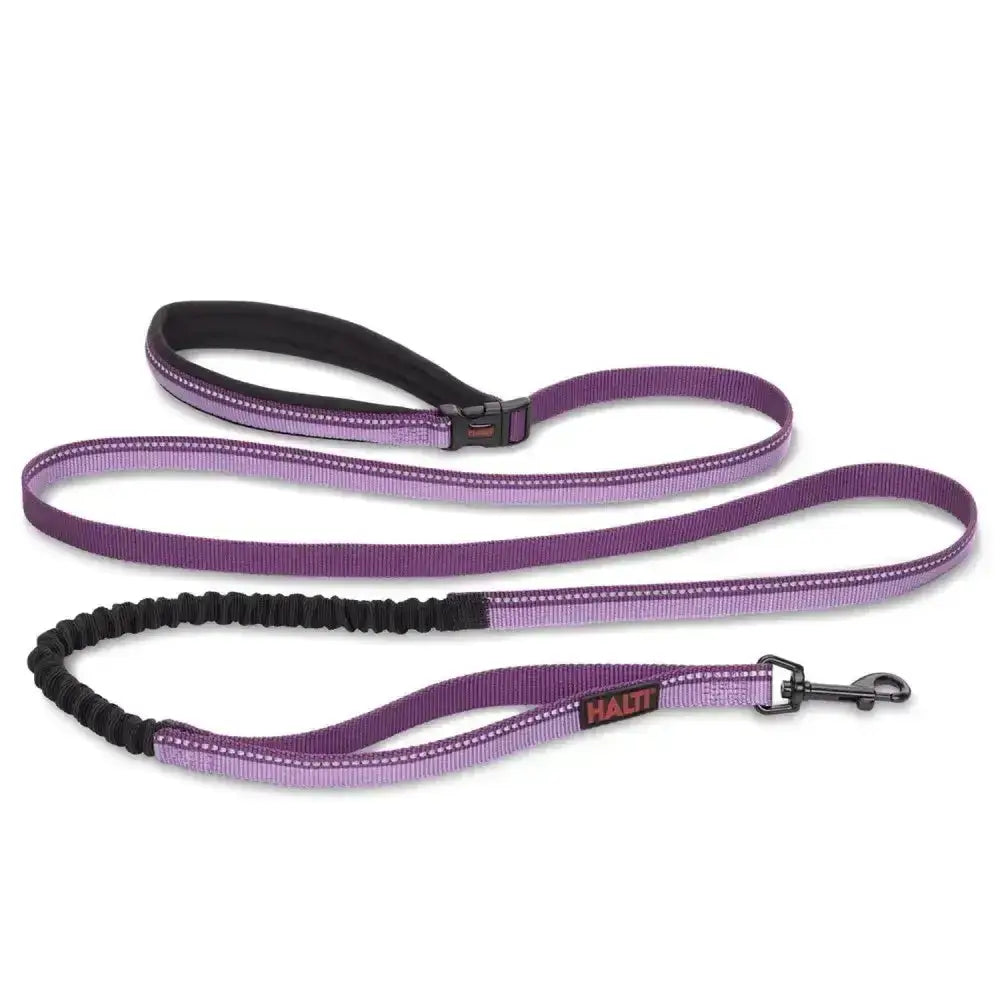 Halti active lead purple with black elastic section and padded handle perfect as a tie-out tether leash
