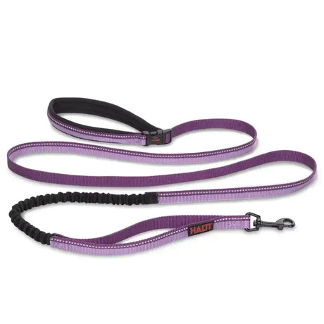 Halti active lead purple with black elastic section and padded handle perfect as a tie-out tether leash