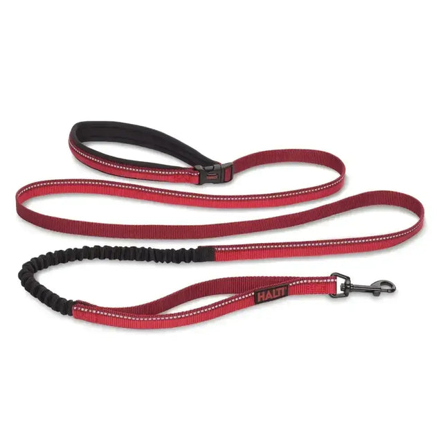 Halti active lead red tie-out tether with red woven leash, black elastic, reflective stitching, and metal clasp