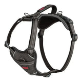 Black and gray halti anatomy harness grey with reflective stitching and adjustable straps for secure dog control
