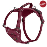 Halti Anatomy Harness Magenta Large magenta Dog Harness