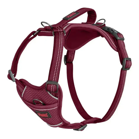 Maroon halti anatomy harness magenta with reflective stitching and black plastic buckles for a comfortable dog fit