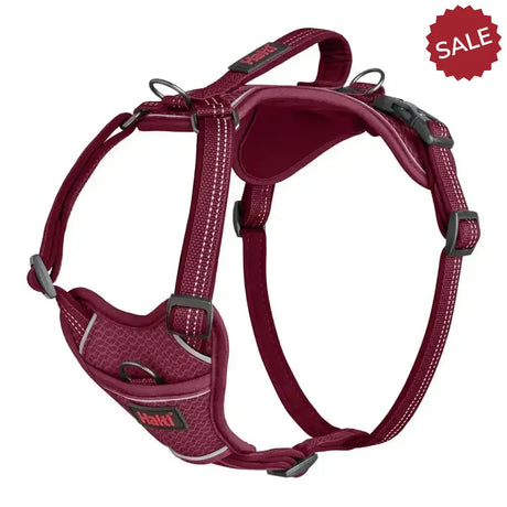 Halti Anatomy Harness Magenta Large magenta Dog Harness