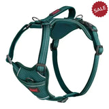 Halti Anatomy Harness Teal Large Teal Dog Harness