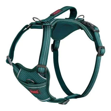 Dark green halti anatomy harness with textured fabric and black plastic buckles in anatomy harness teal design