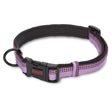 Halti Comfort Collar Purple X Small Purple Dog Collar Barnstaple Equestrian Supplies