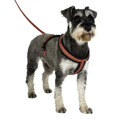 Halti comfy harness black and orange dog harness with matching leash made of cosy soft fleece for maximum dog comfort