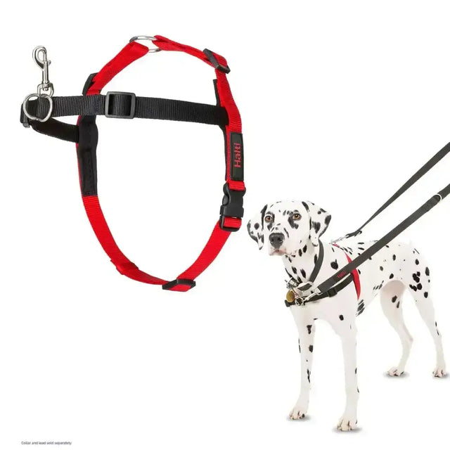 Red and black halti front control harness with adjustable straps and metal hardware designed to stop dogs pulling