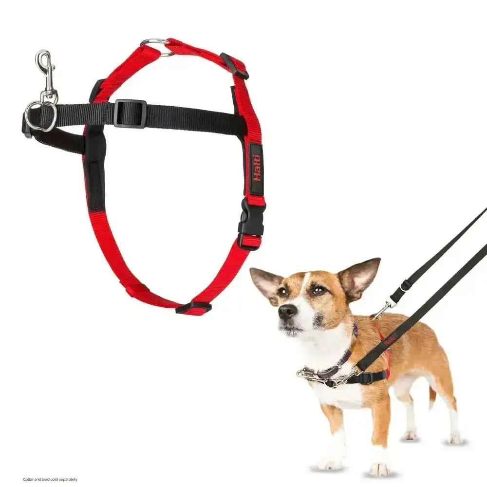 Red and black halti front control harness with adjustable straps and metal hardware designed to stop dogs pulling
