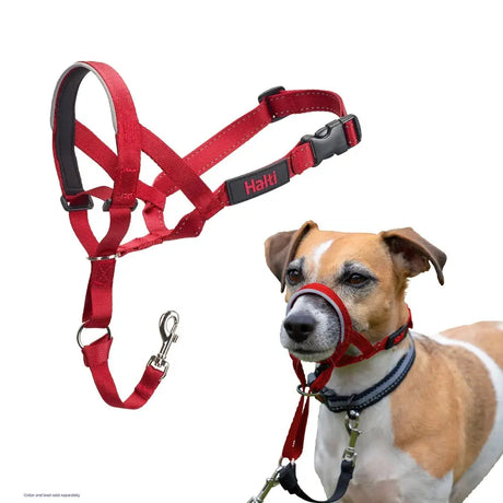 Halti headcollar red with red hahi dog harness black accents adjustable buckles for strongest pullers maximum control
