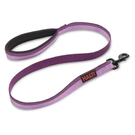Halti lead purple dog lead with black padded handle and metal clasp walking essential designed for comfort