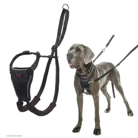 Black h&h halti no pull harness black with padded straps and front pocket for dog’s chest comfort and control