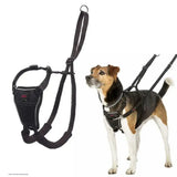 Halti no pull harness black with adjustable padded straps for comfort and control on your dogs chest