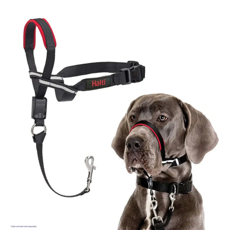 Black and red halti optifit headcollar with reflective strips and metal clip premium headcollar designed for control