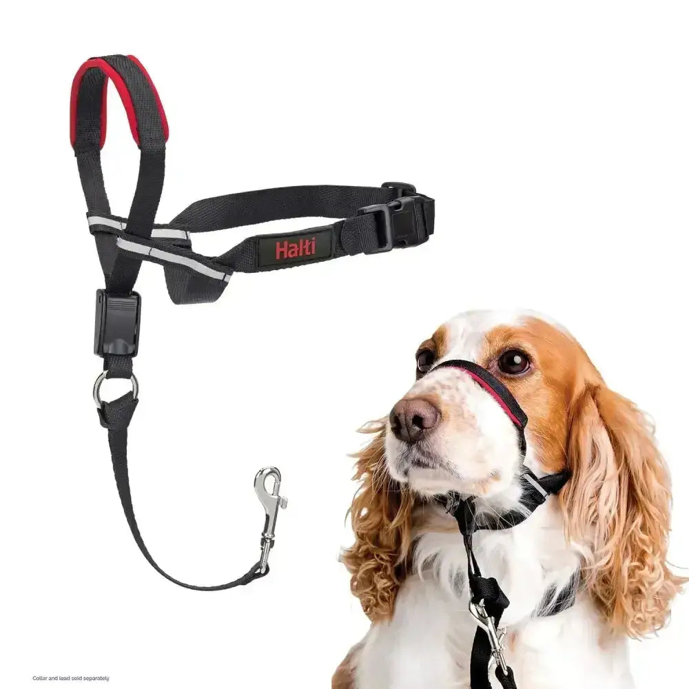 Black and red halti optifit headcollar with reflective strips and metal clip premium headcollar designed for control