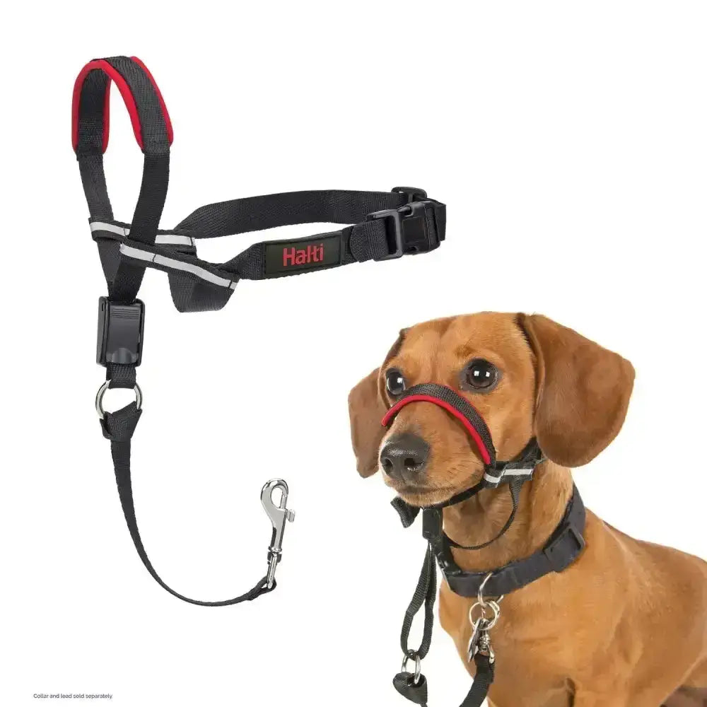 Black and red halti optifit headcollar with reflective strips and adjustable buckle premium headcollar designed