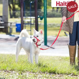 Halti Training Lead Red Large Red Pet Training