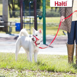 Red halti training lead dog harness and leash set made for easy control and comfort in bright lead red color