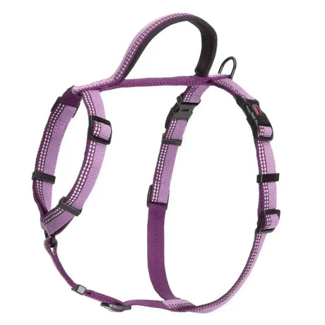 Purple nylon halti walking harness with five points, black buckles, and reflective white stitching for safety