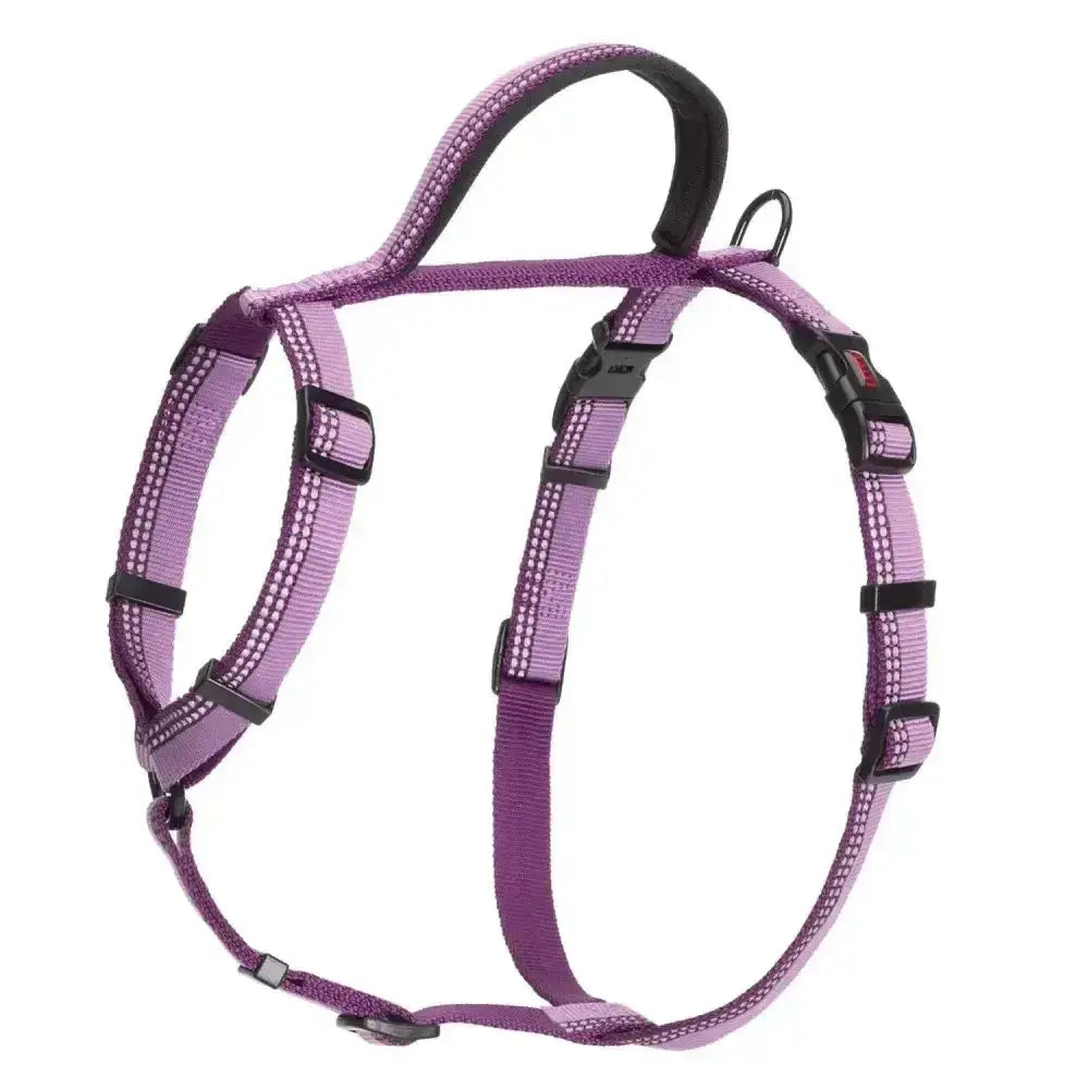 Halti walking harness purple with reflective material black plastic buckles and sturdy handle for easy control