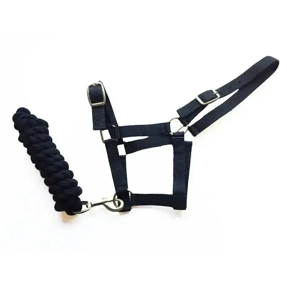 Black nylon harlequin headcollar with adjustable headpiece and matching standard cotton braided rope lead rope set