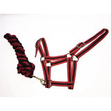 Harlequin Headcollar And Rope Set Red / Black Cob Rhinegold Headcollars & Leadropes Barnstaple Equestrian Supplies