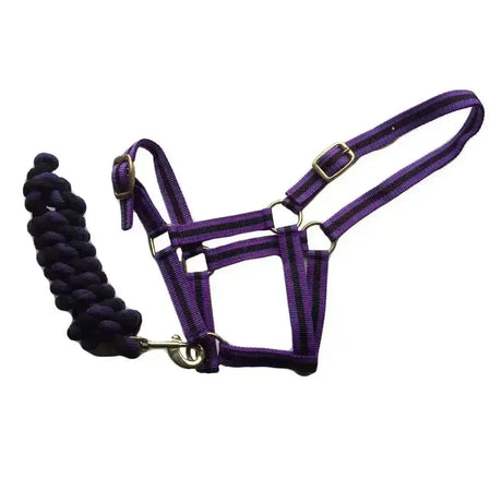 Purple woven harlequin headcollar with adjustable headpiece and matching black braided standard cotton lead rope attached