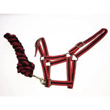 Red and black harlequin headcollar with adjustable headpiece and matching standard cotton braided lead rope