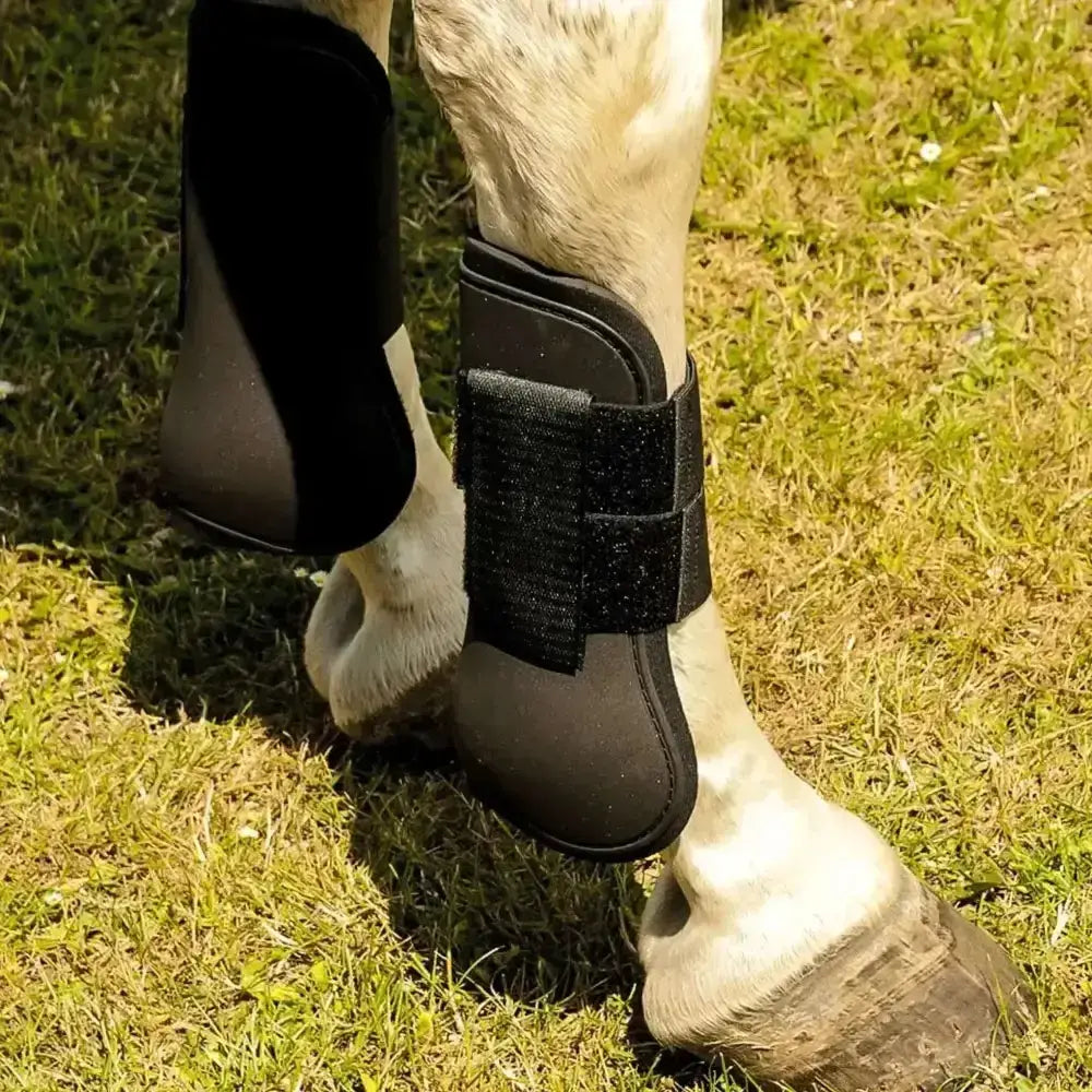 Black harlequin neoprene tendon boots with velcro strap for hoof protection and support