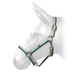 Hcw01 W-Horse Harvey Headcollar Brown/Turquoise/Beige Full Brown/Turquoise/Beige Headcollars & Lead Ropes
