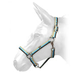 Hcw01 W-Horse Harvey Headcollar Brown/Turquoise/Beige Full Brown/Turquoise/Beige Headcollars & Lead Ropes