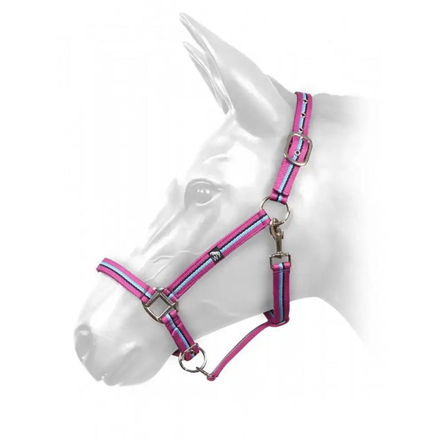 Hcw01 W-Horse Harvey Headcollar Magenta/Black/Turquoise Full magenta/Black/Turquoise Headcollars & Lead Ropes