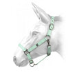 Hcw01 W-Horse Harvey Headcollar Mint Cob mint Headcollars & Lead Ropes
