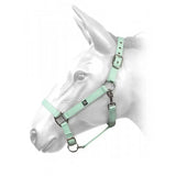 Mint green leather w-horse harvey headcollar with silver hardware and star stitching hcw01 w-horse harvey mint